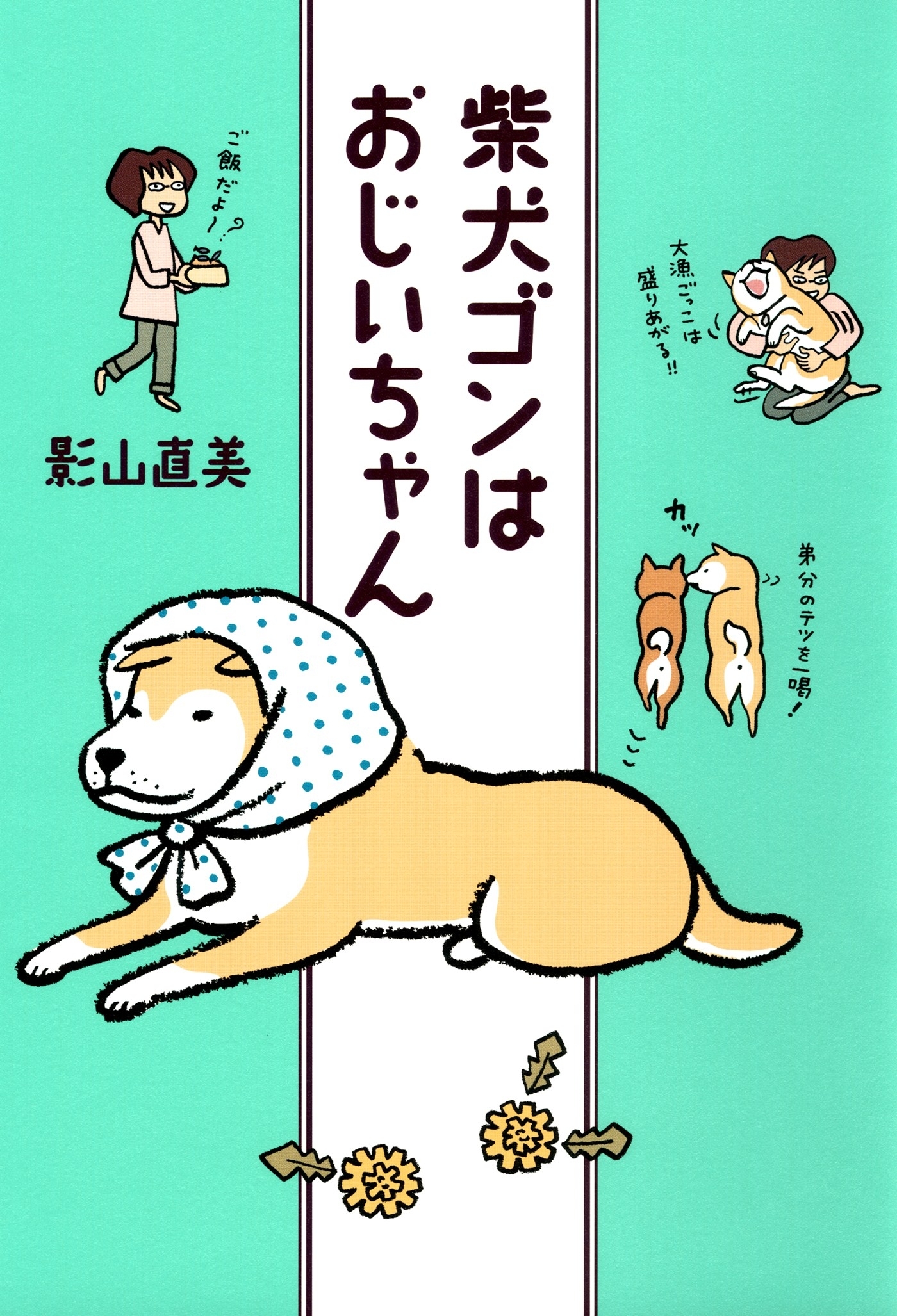 柴犬ゴンはおじいちゃん