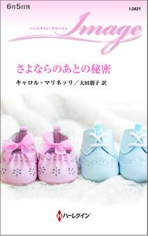 さよならのあとの秘密