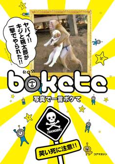 写真で一言ボケて