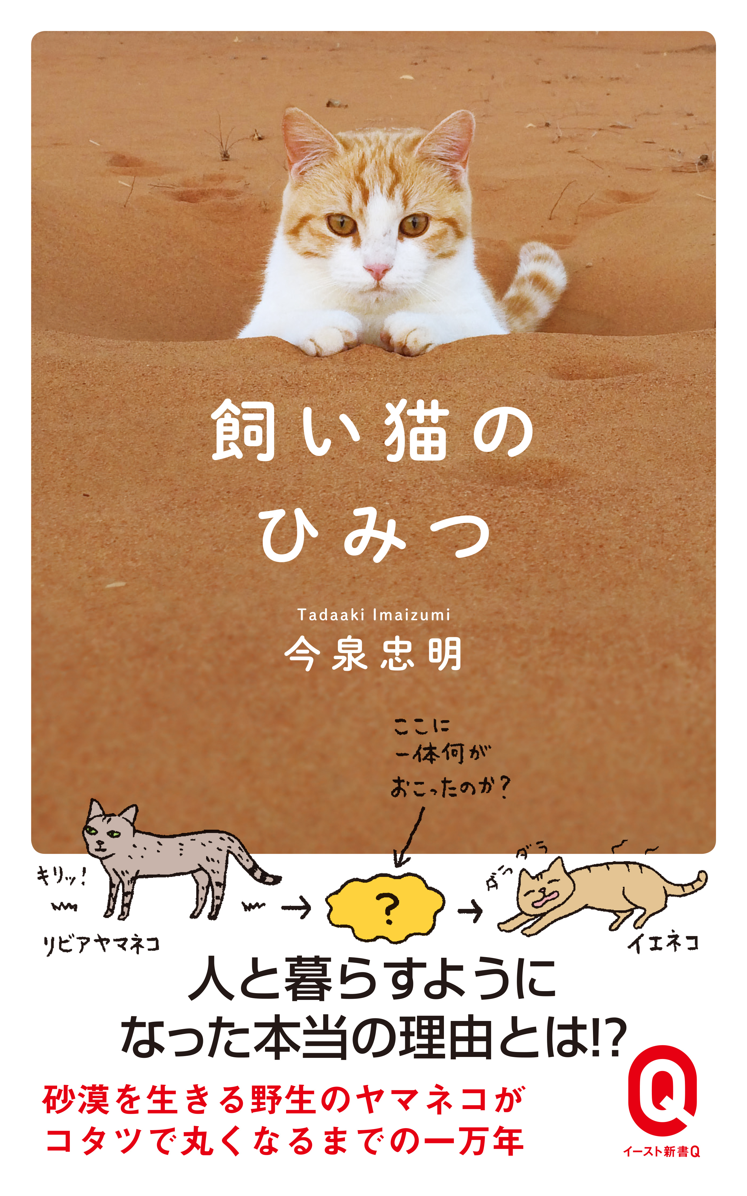 飼い猫のひみつ
