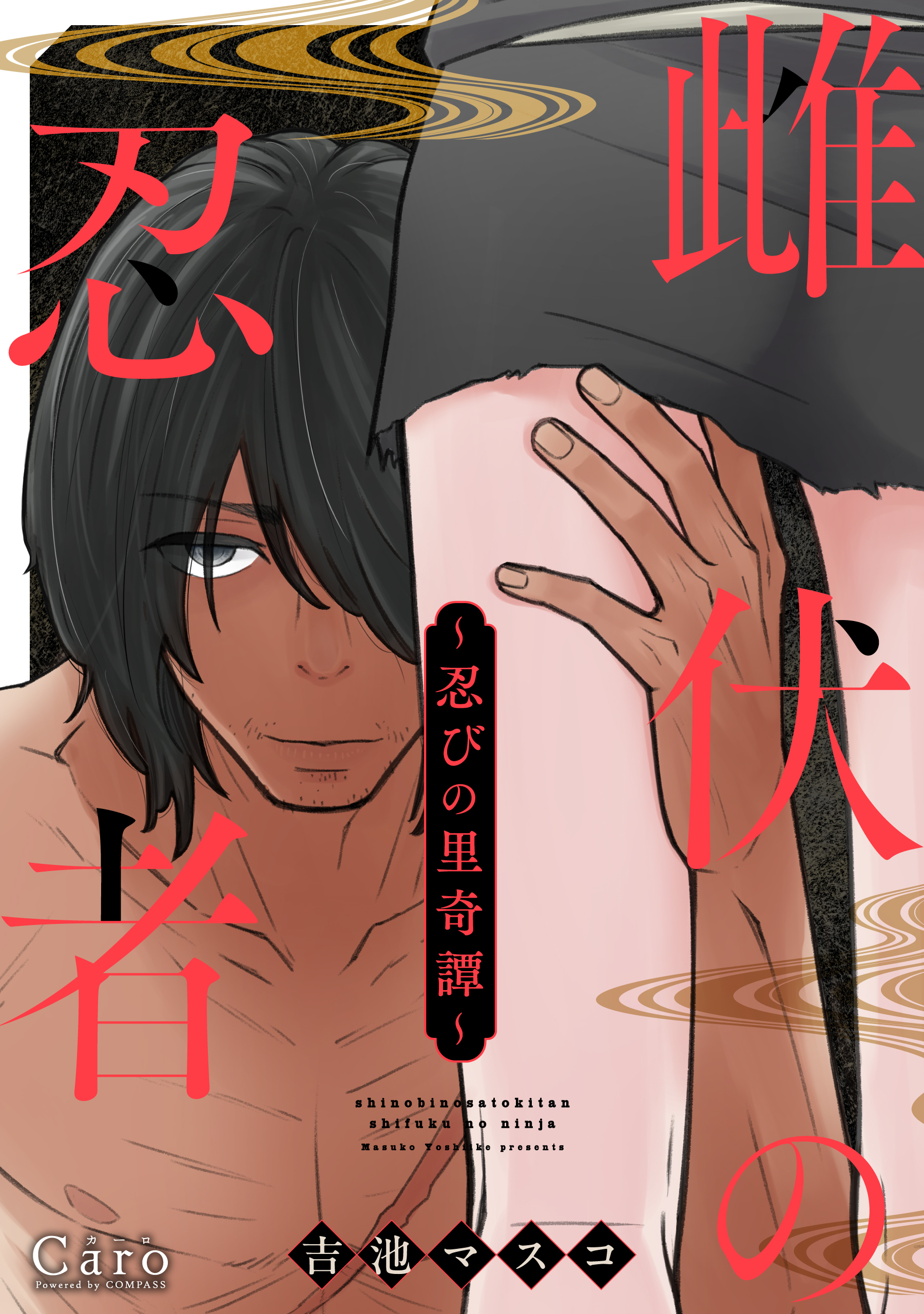 ～忍びの里奇譚～雌伏の忍者