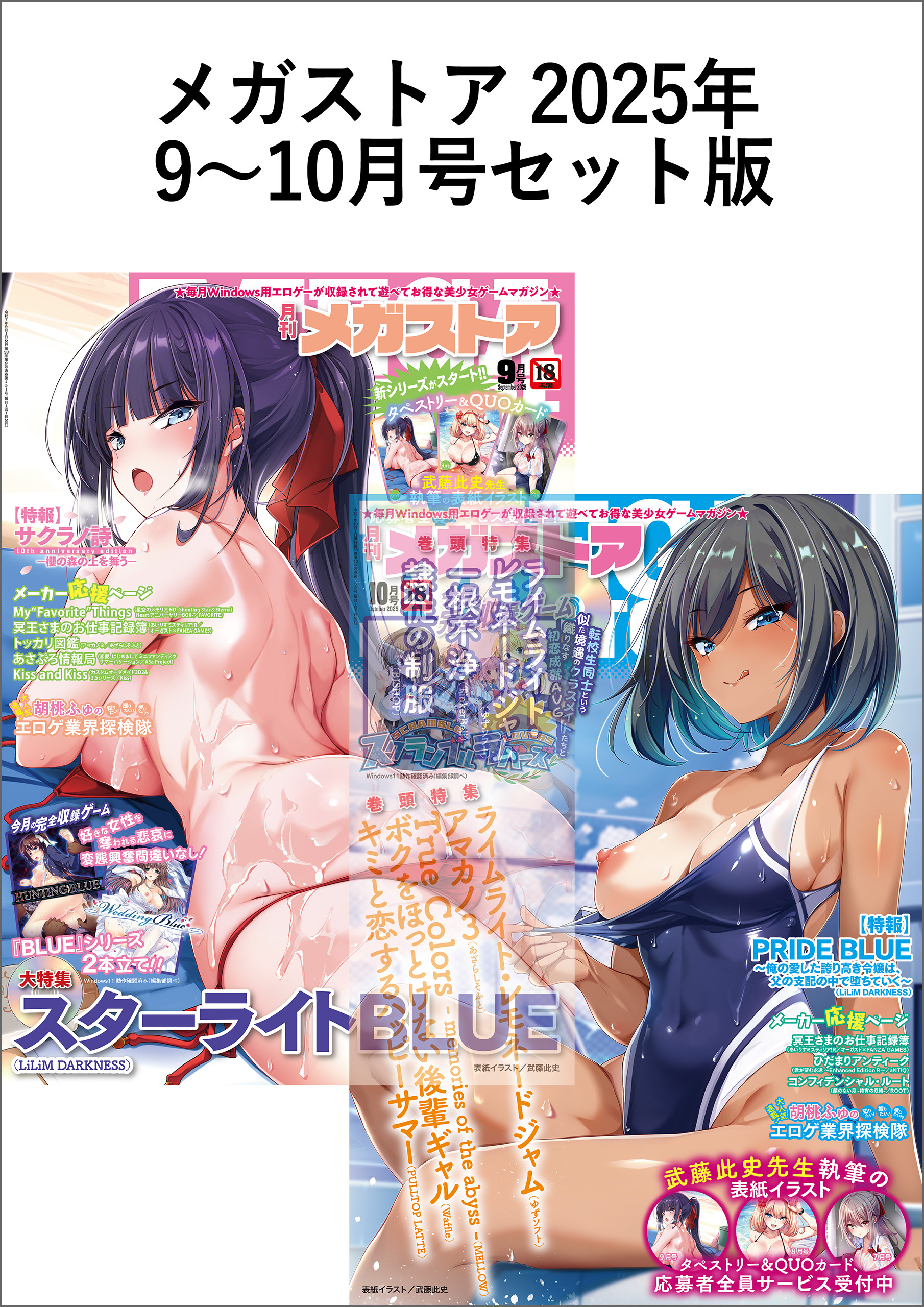 メガストアセット版2025年9-10月号