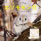 こんにちは!エゾモモンガ