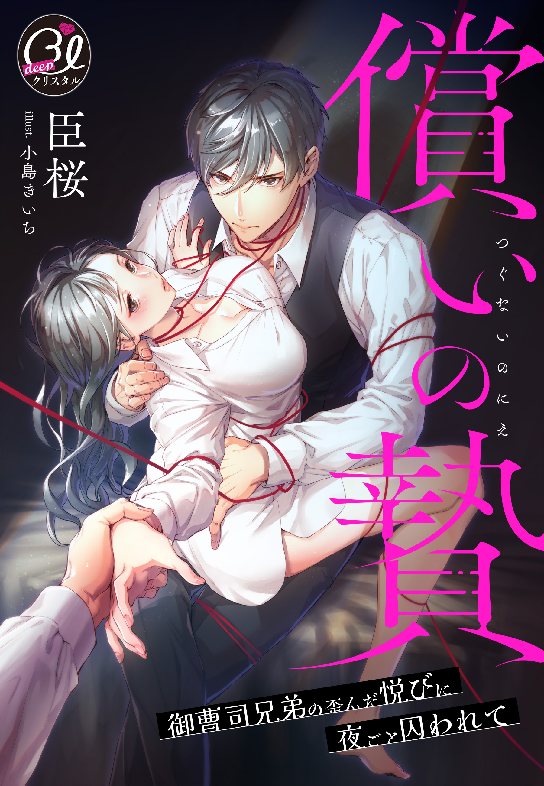 償いの贄～御曹司兄弟の歪んだ悦びに夜ごと囚われて～