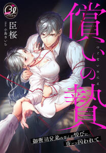 償いの贄~御曹司兄弟の歪んだ悦びに夜ごと囚われて~