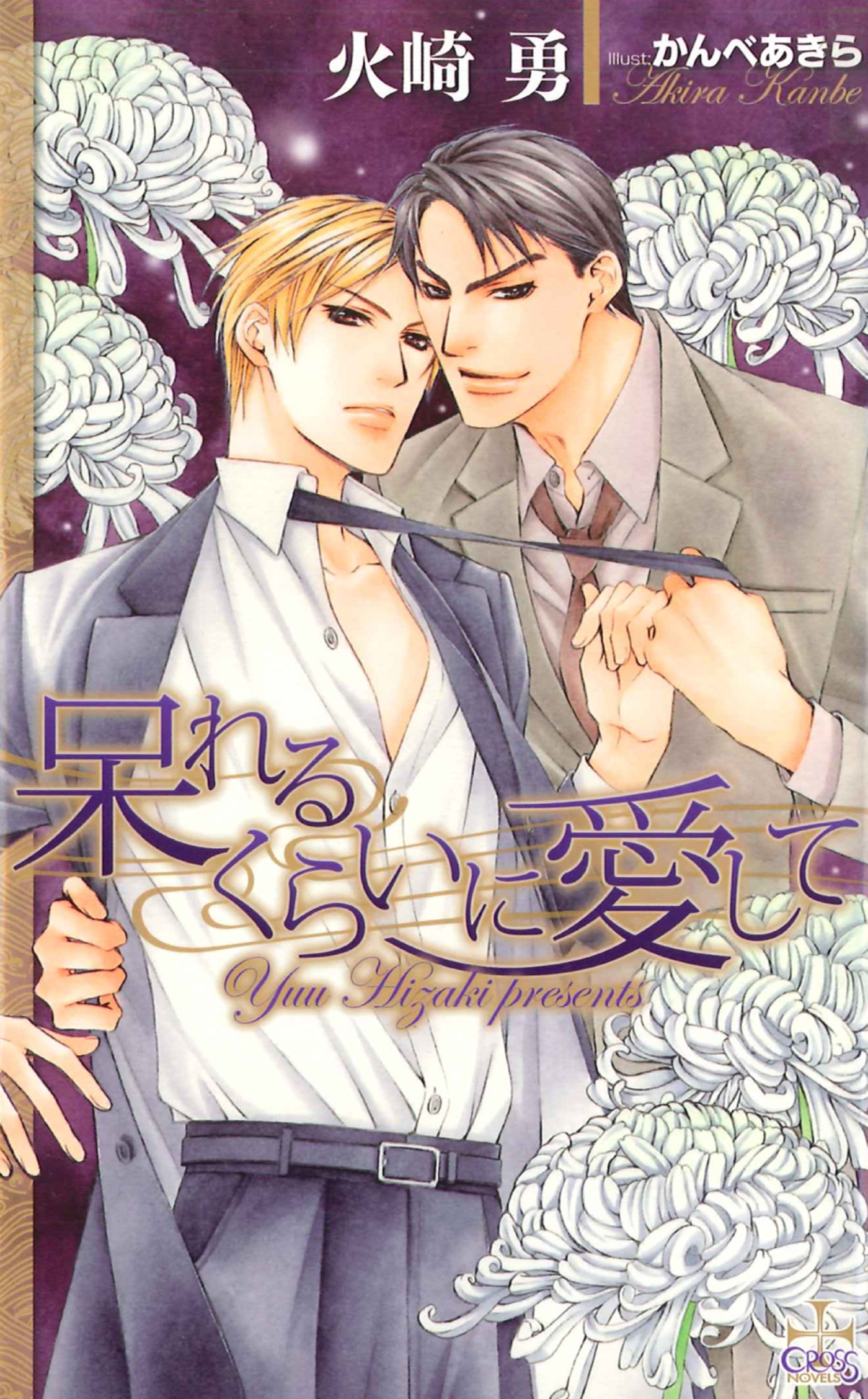 呆れるくらいに愛して【特別版】