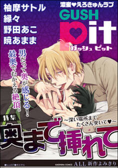 GUSHpit 奥まで挿れて~深い場所までたくさん突いてv~