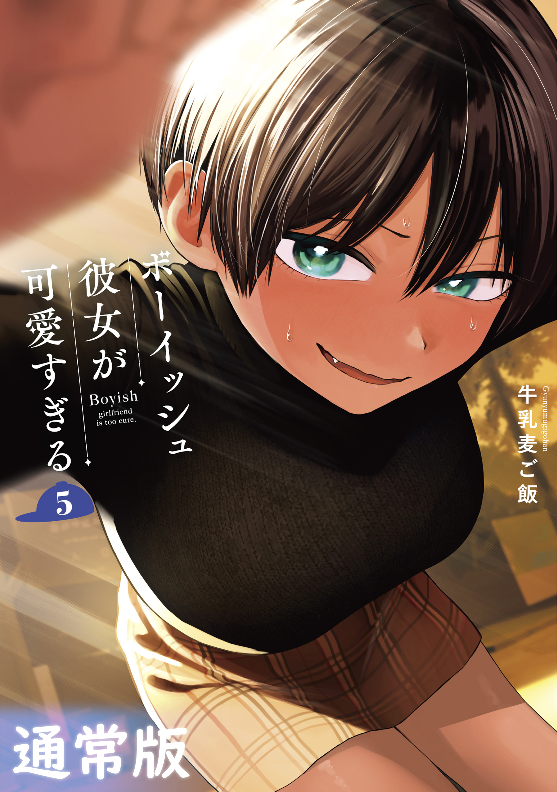 ボーイッシュ彼女が可愛すぎる 5巻通常版
