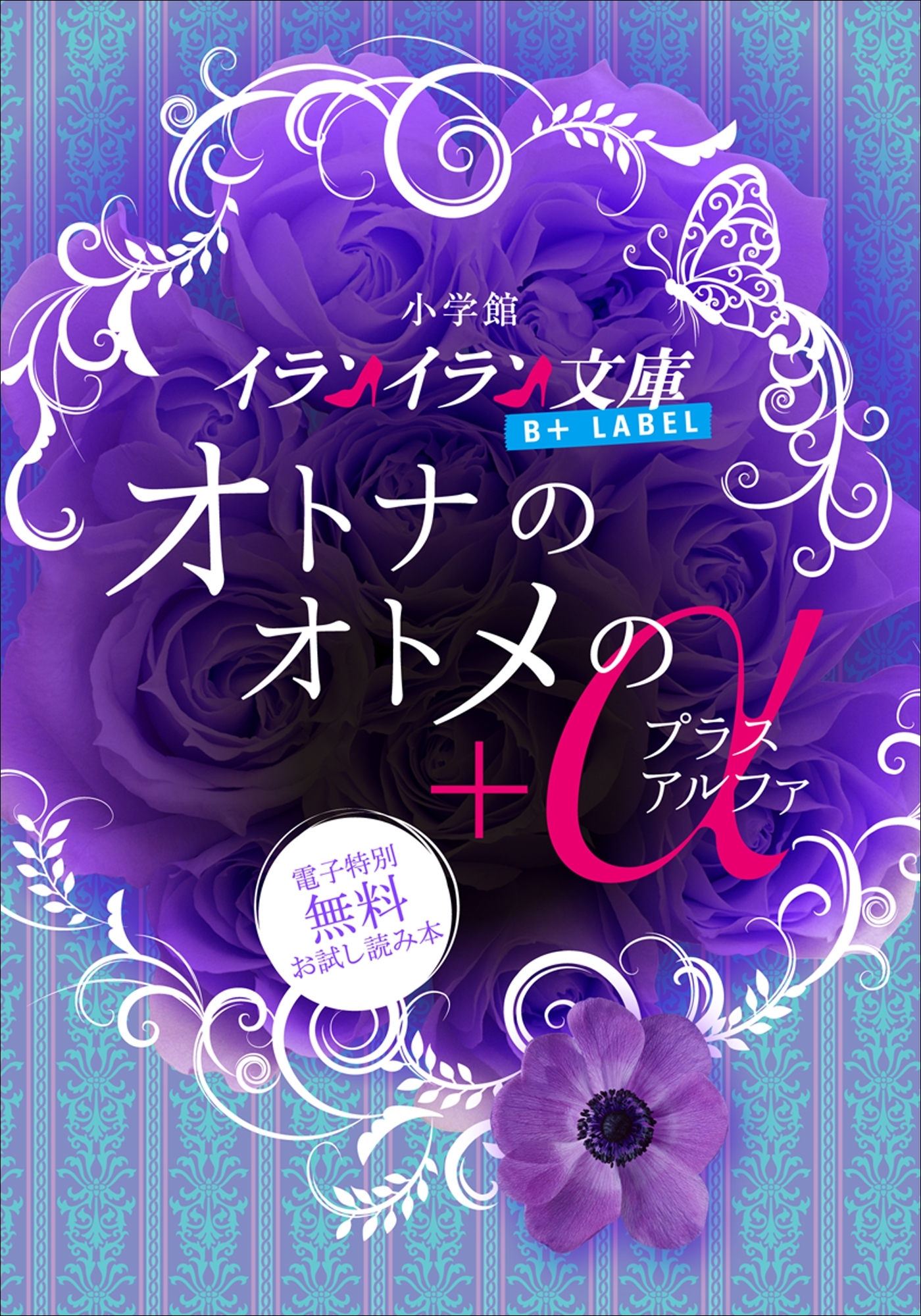 オトナのオトメの＋α