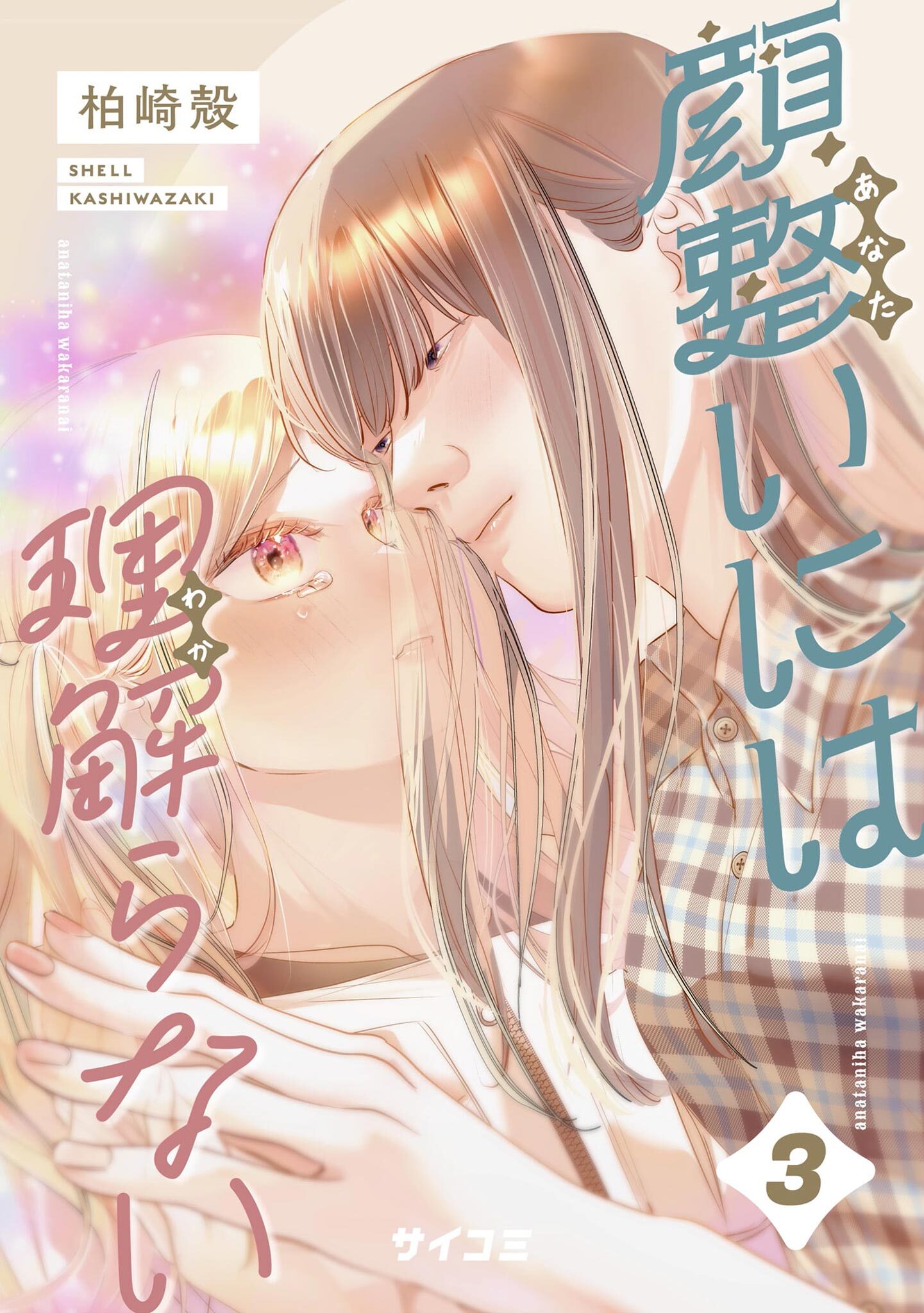 顔整いには理解らない 3