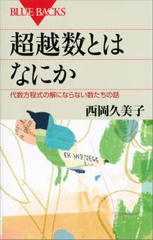 超越数とはなにか 代数方程式の解にならない数たちの話