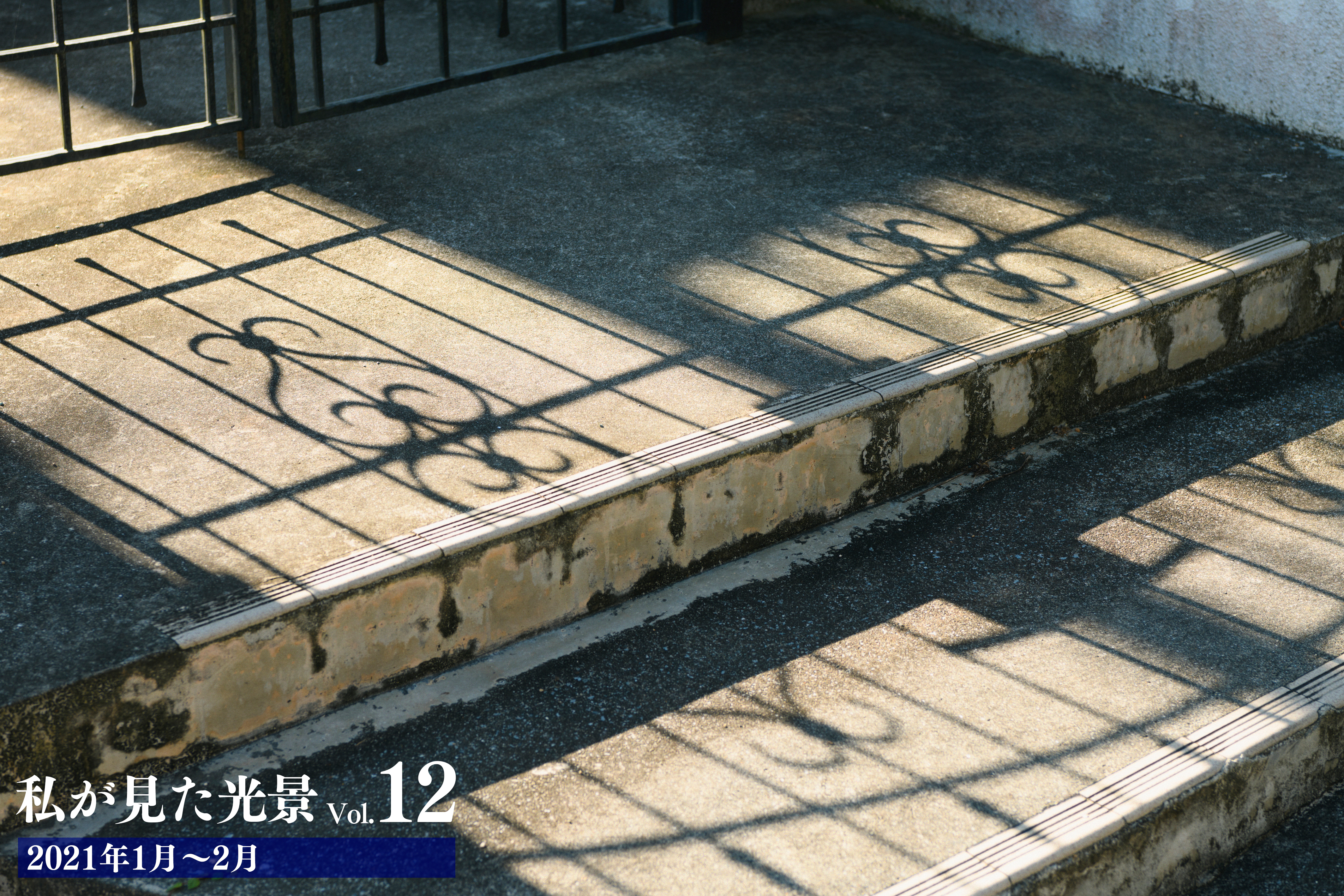 私が見た光景 vol.12 2021年1月～2月
