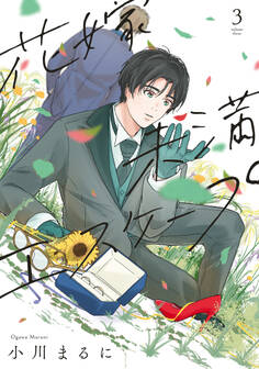 【特装版】花嫁未満エスケープ(3)