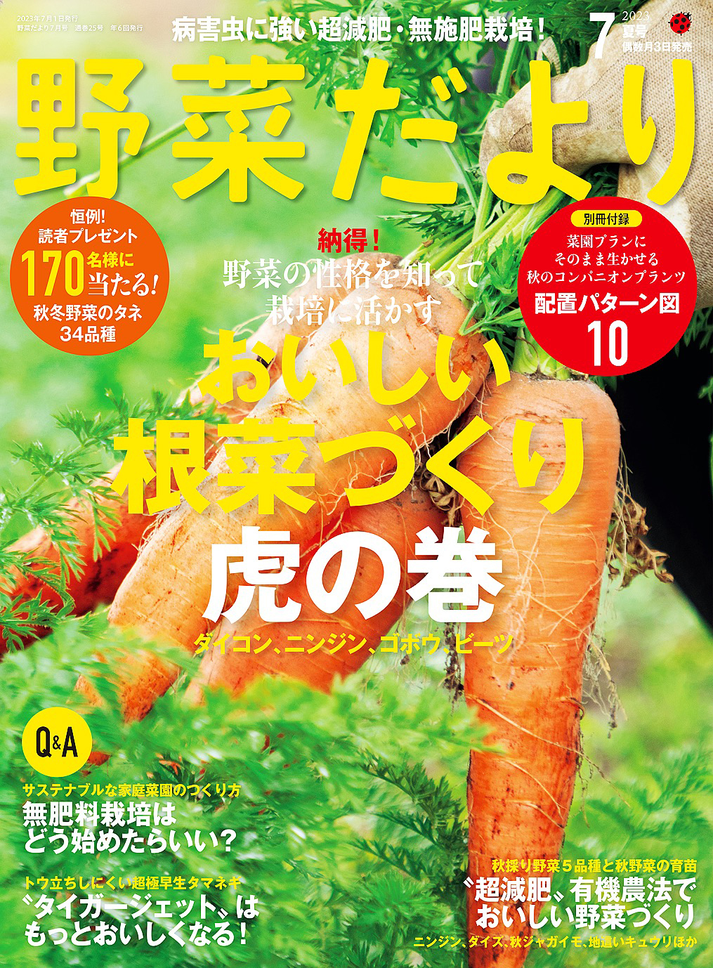 野菜だより2023年7月号
