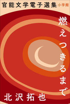 官能文学電子選集 北沢拓也『燃えつきるまで』