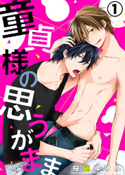 童貞様の思うがまま(1)