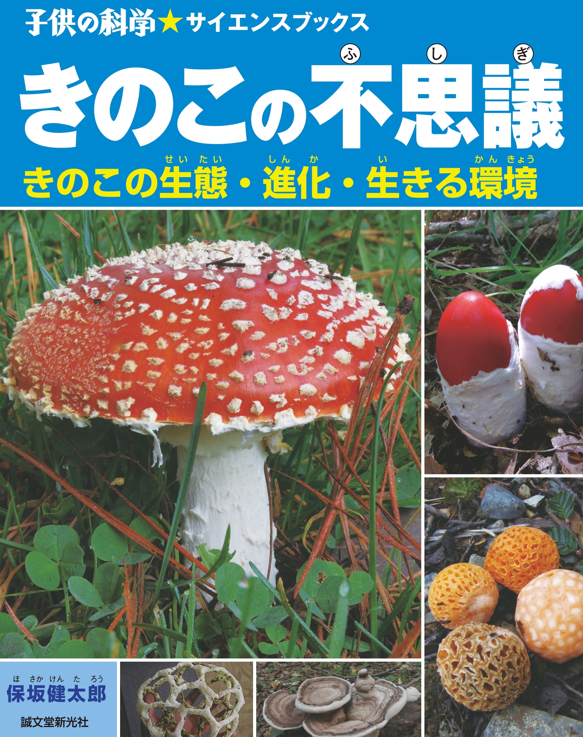 きのこの不思議