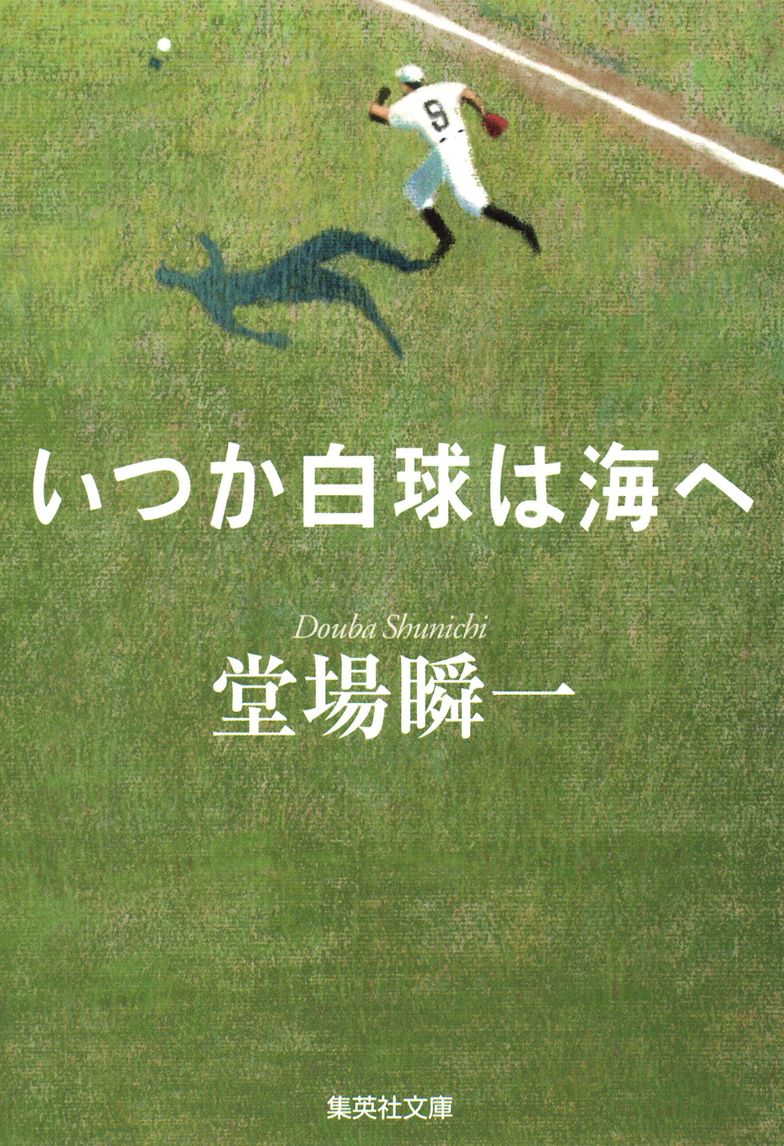 いつか白球は海へ