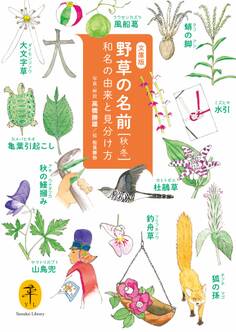ヤマケイ文庫 野草の名前 秋冬 和名の由来と見分け方