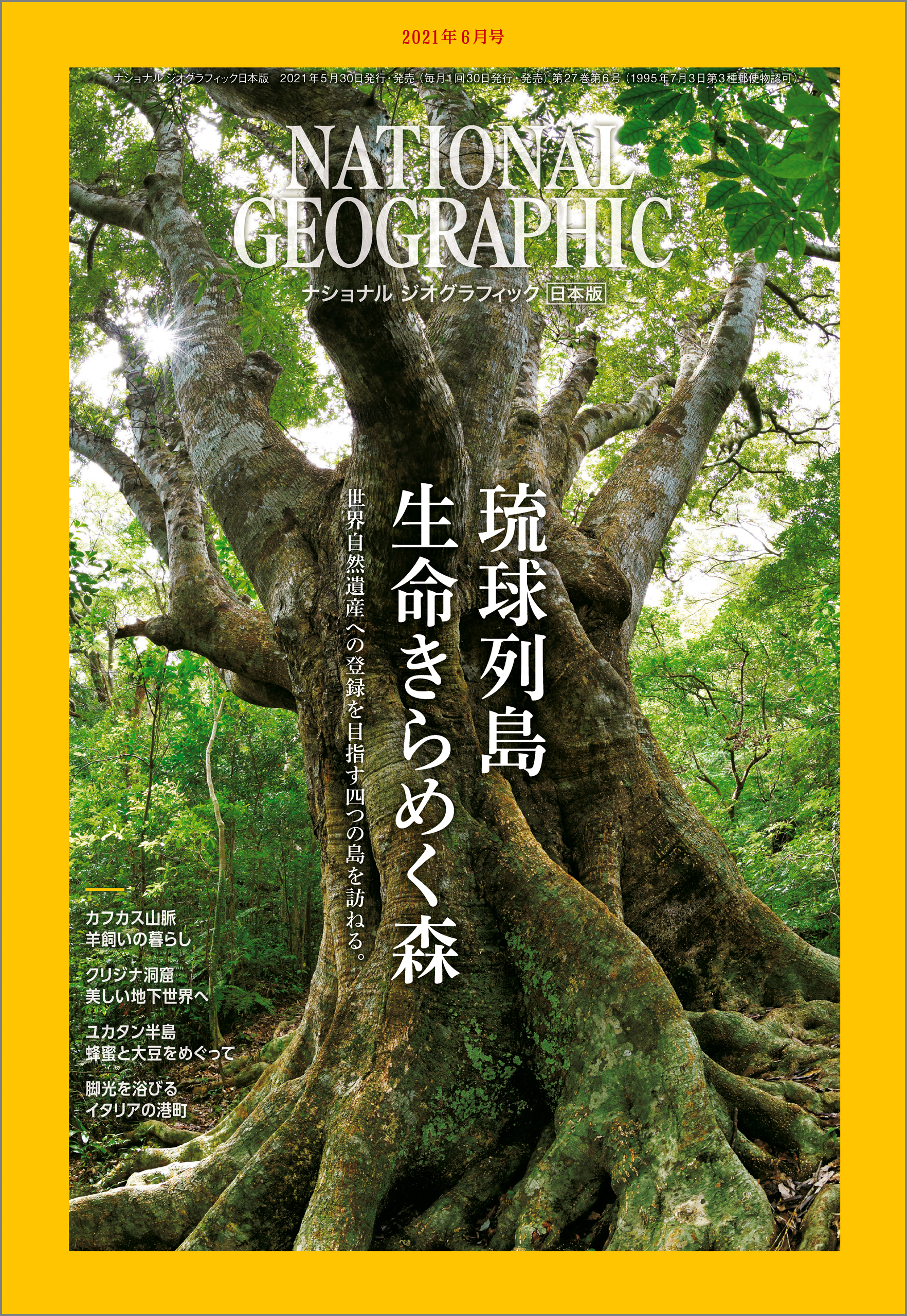 ナショナル ジオグラフィック日本版 2021年6月号 [雑誌]