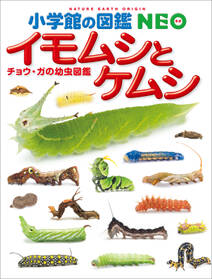 小学館の図鑑NEO　イモムシとケムシ　～チョウ・ガの幼虫図鑑～