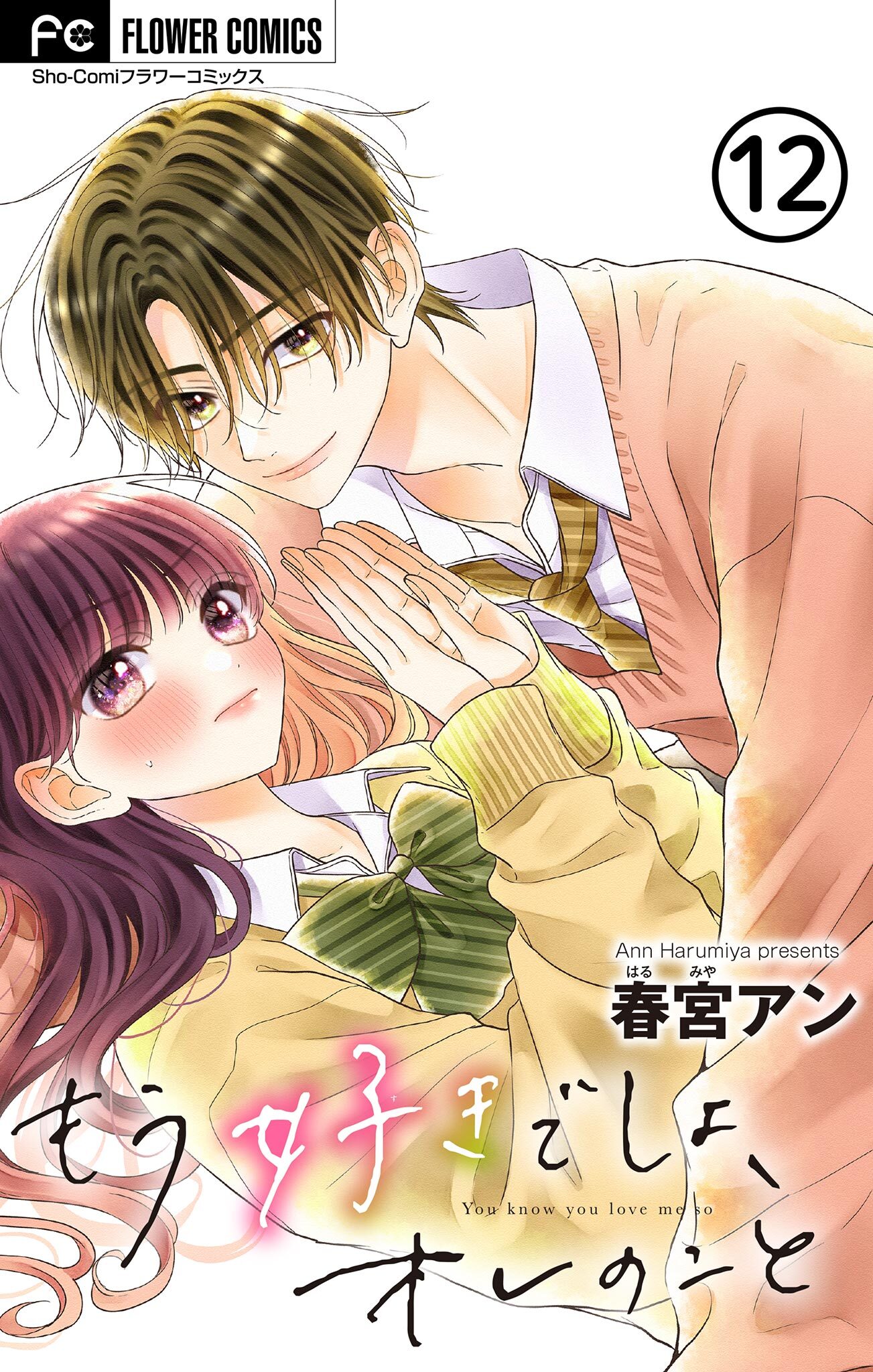 もう好きでしょ、オレのこと【マイクロ】 12