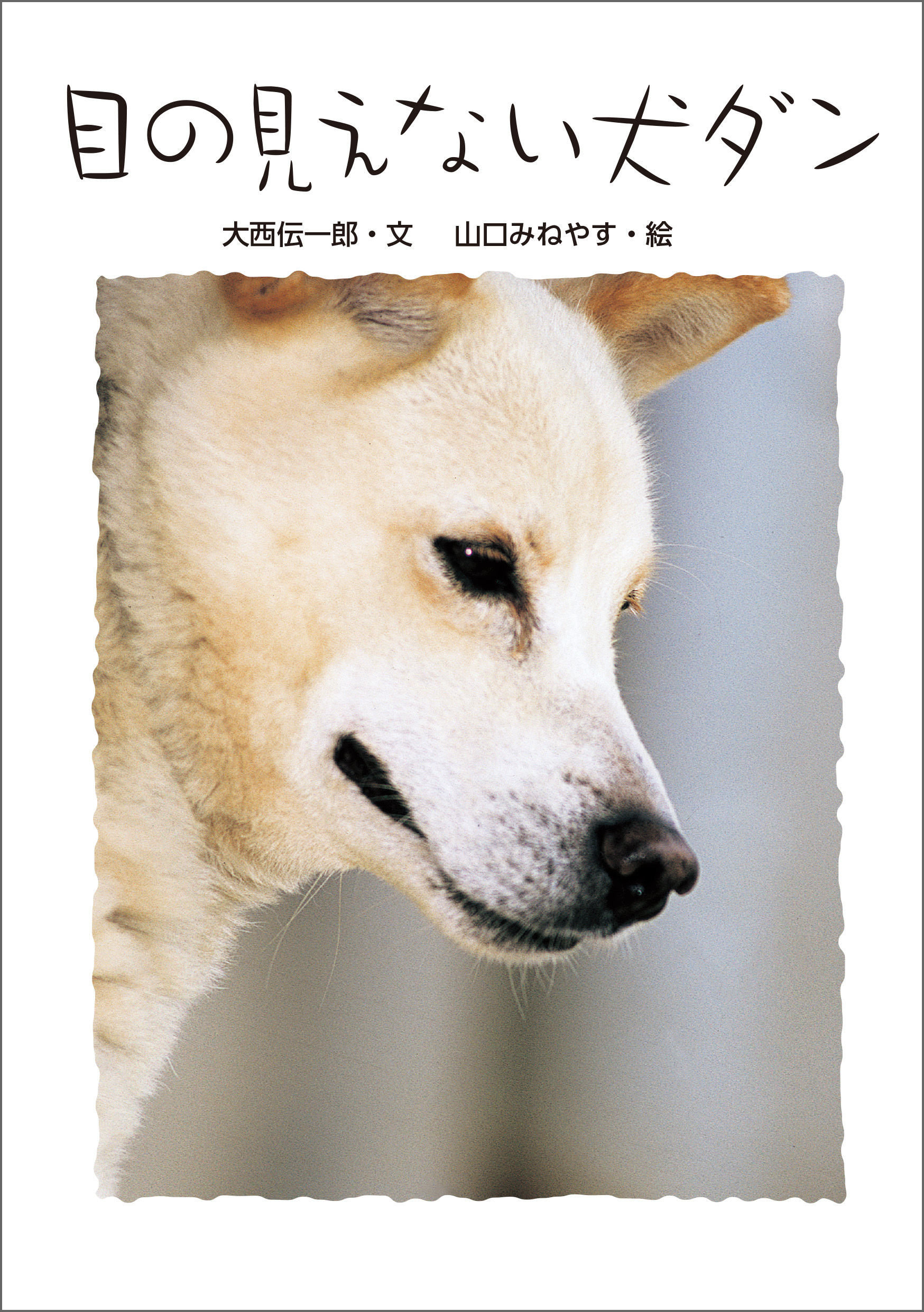 目の見えない犬　ダン