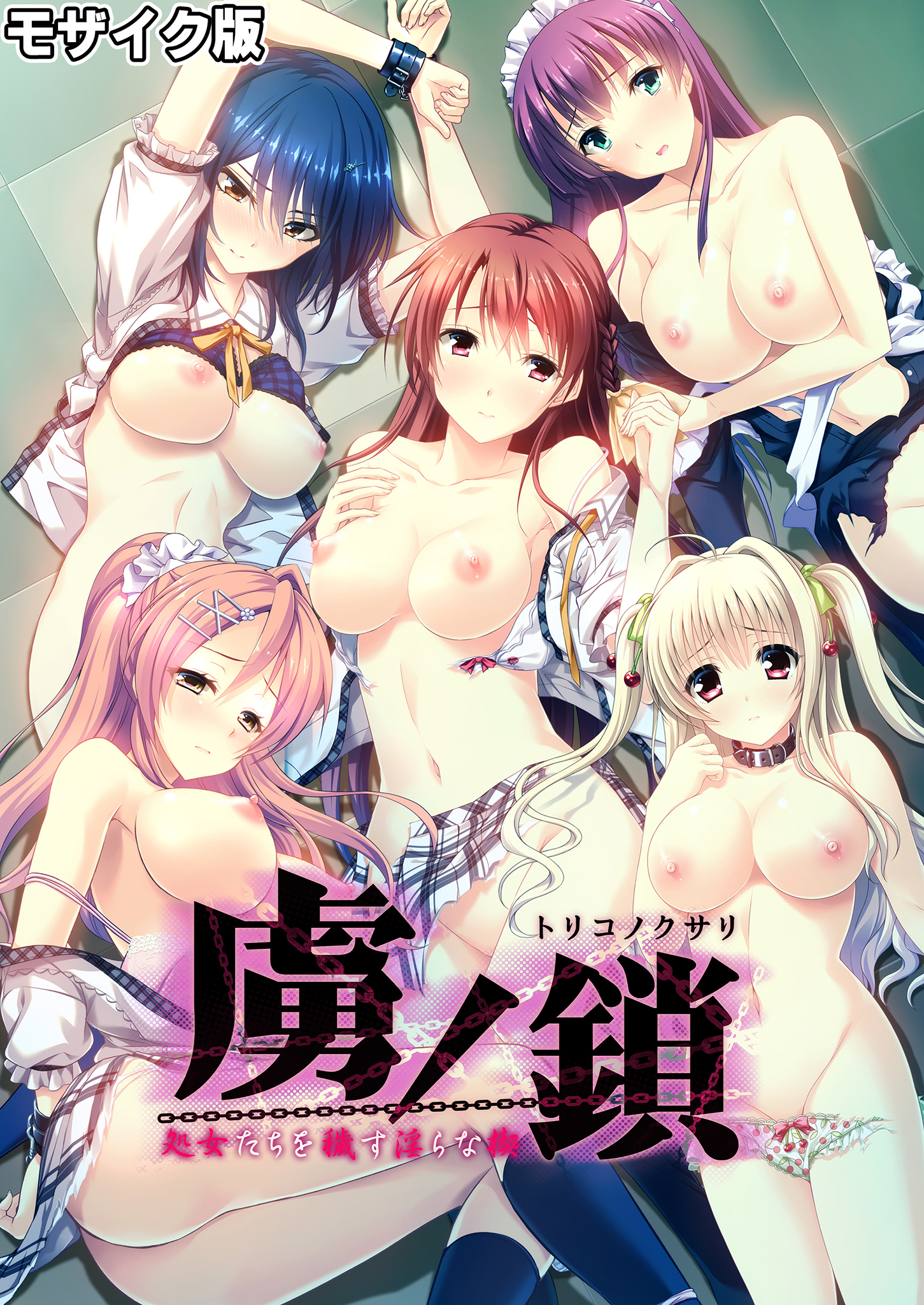 虜ノ鎖 ～処女たちを穢す淫らな楔～ モザイク版