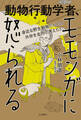 身近な野生動物たちとの共存を全力で考えた! 動物行動学者、モモンガに怒られる