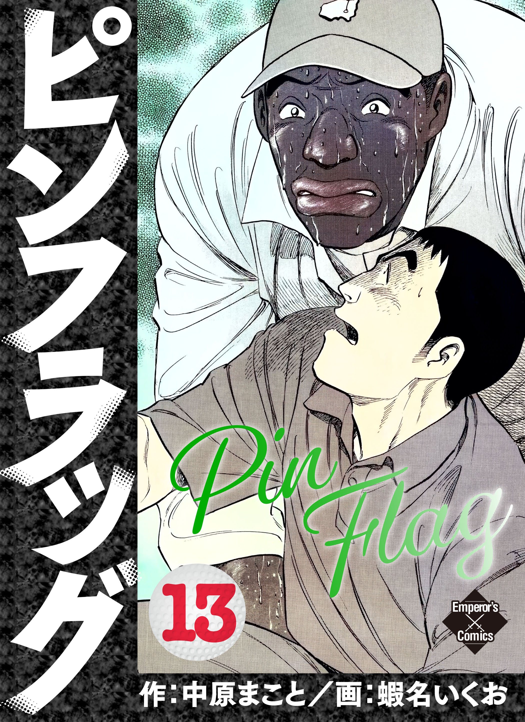 ピンフラッグ 13