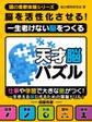 脳を活性化させる!一生老けない脳をつくる天才脳パズル