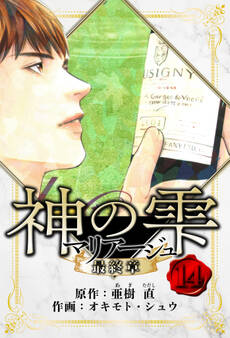 マリアージュ ~神の雫 最終章~ 愛蔵版 14