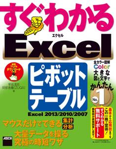 すぐわかる Excelピボットテーブル Excel 2013/2010/2007