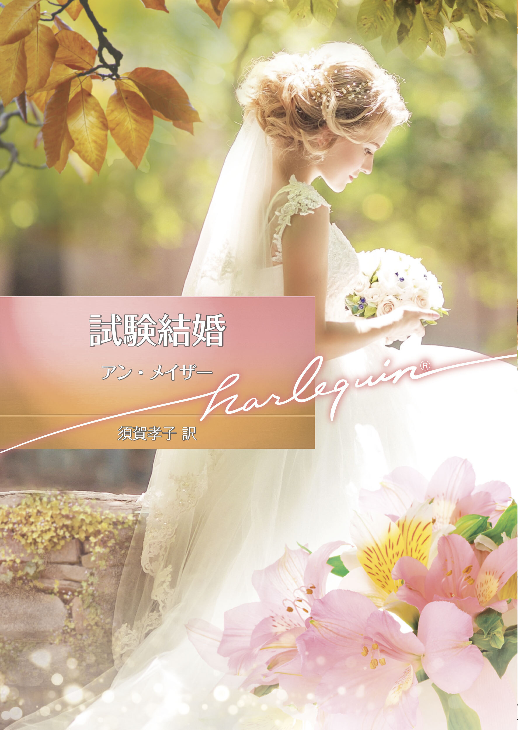試験結婚【ハーレクイン文庫版】