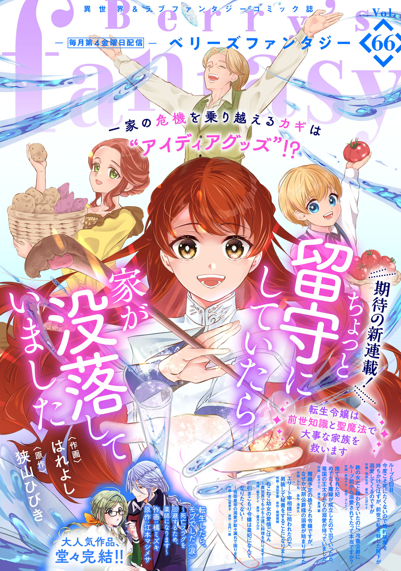 Berry's Fantasy vol.66