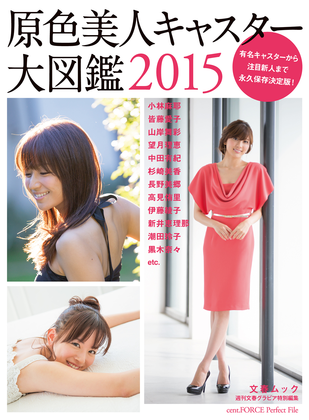 週刊文春グラビア特別編集  原色美人キャスター大図鑑2015