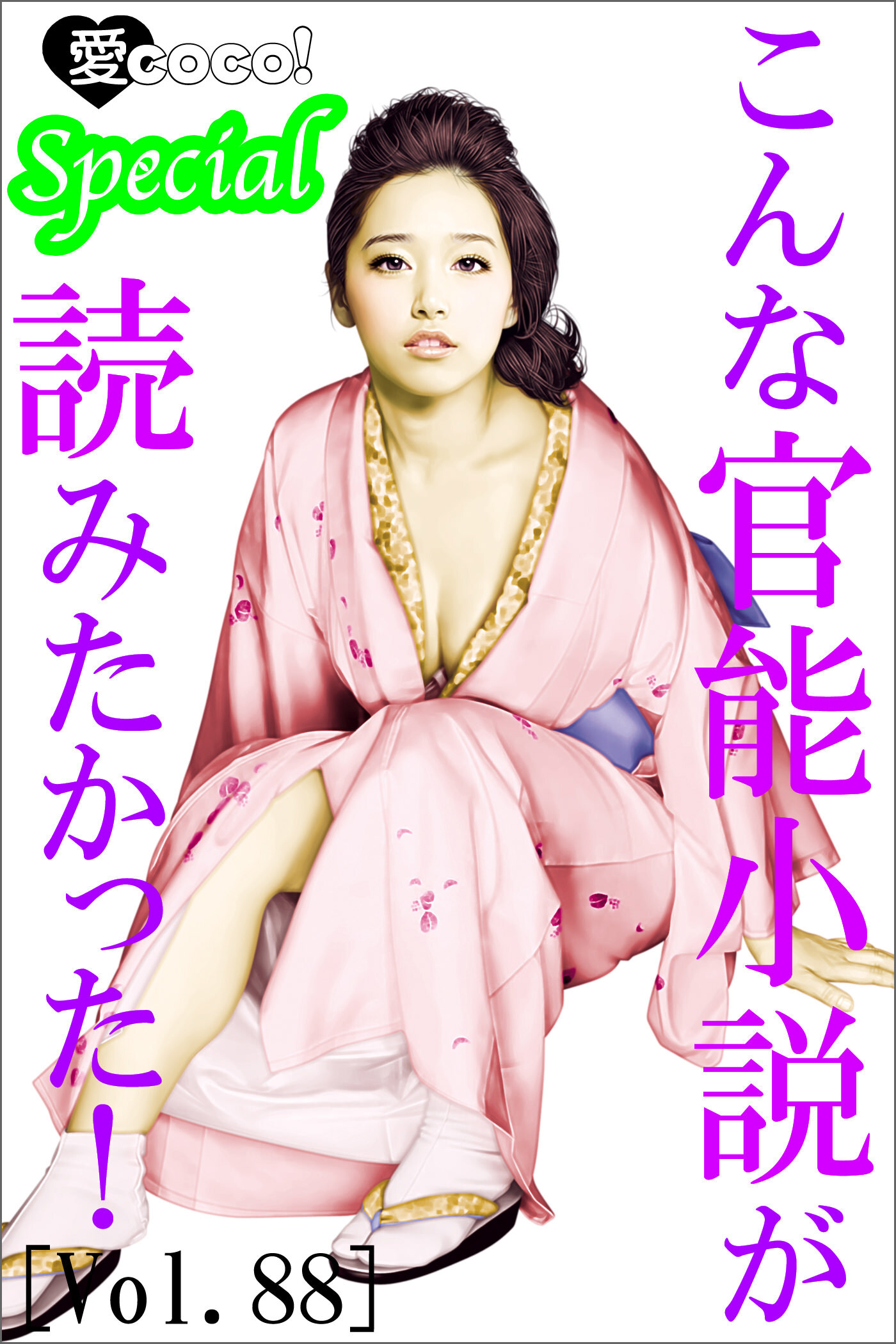 こんな官能小説が読みたかった！vol.88