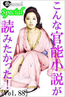 こんな官能小説が読みたかった!vol.88