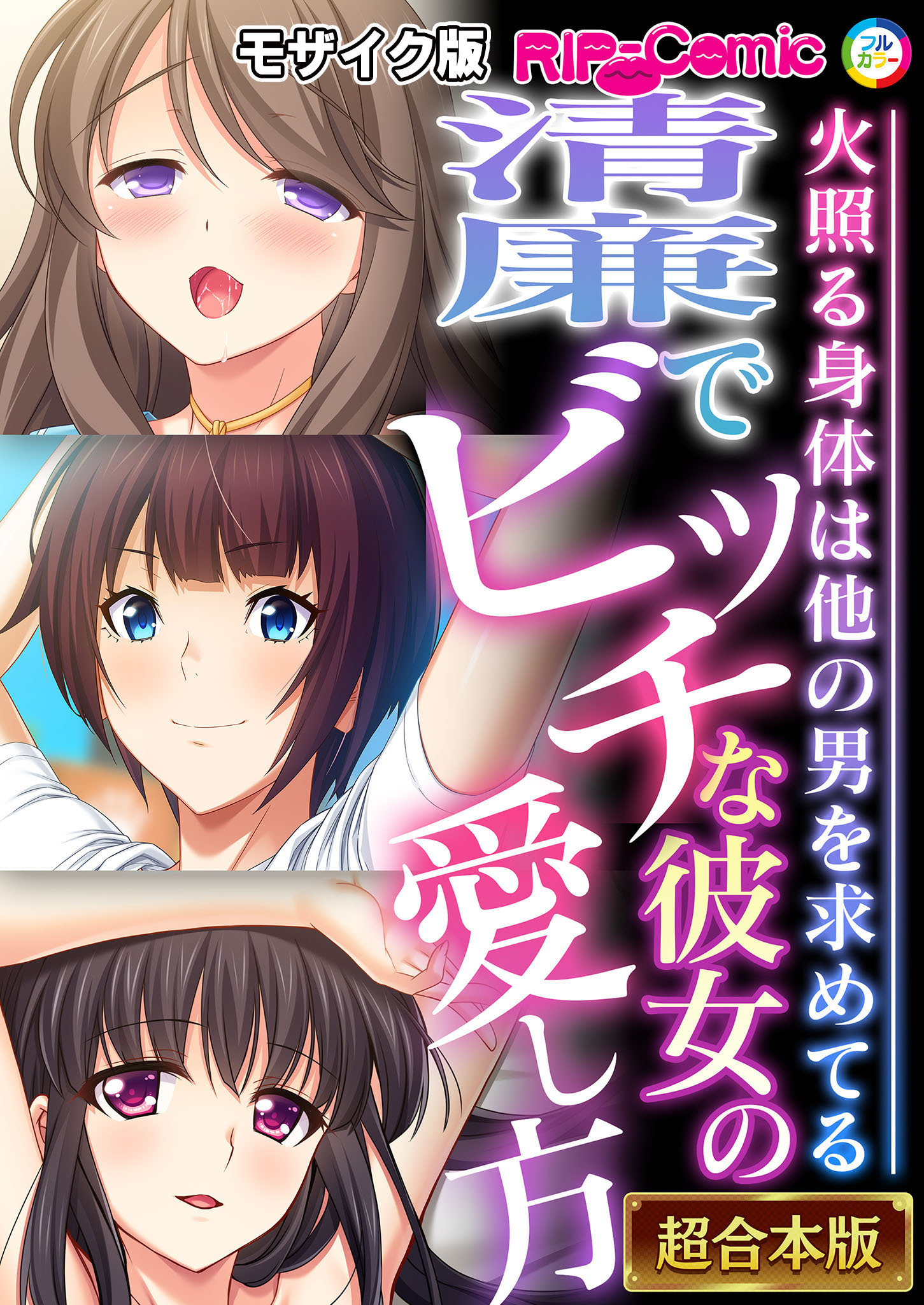 清廉でビッチな彼女の愛し方 ～火照る身体は他の男を求めてる～【超合本シリーズ】 モザイク版