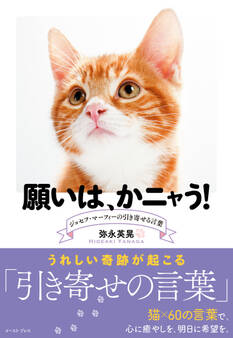 願いは、かニャう! ジョセフ・マーフィーの引き寄せる言葉