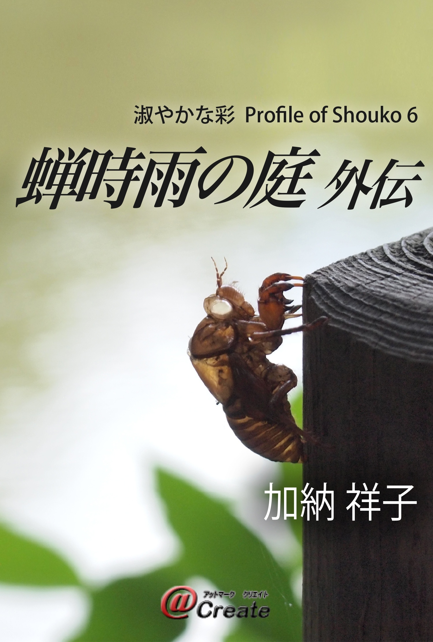 蝉時雨の庭外伝