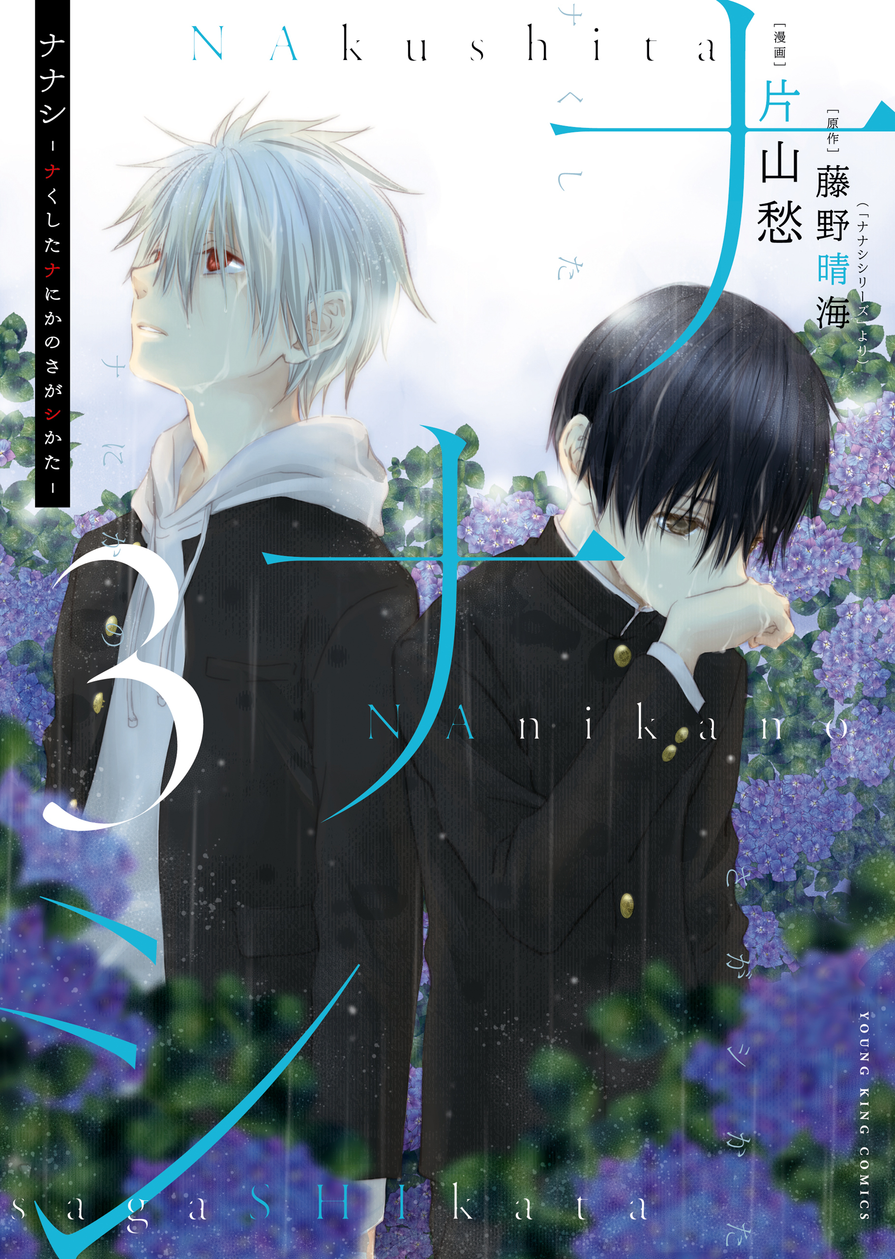 ナナシ　～ナくしたナにかのさがシかた～(3)