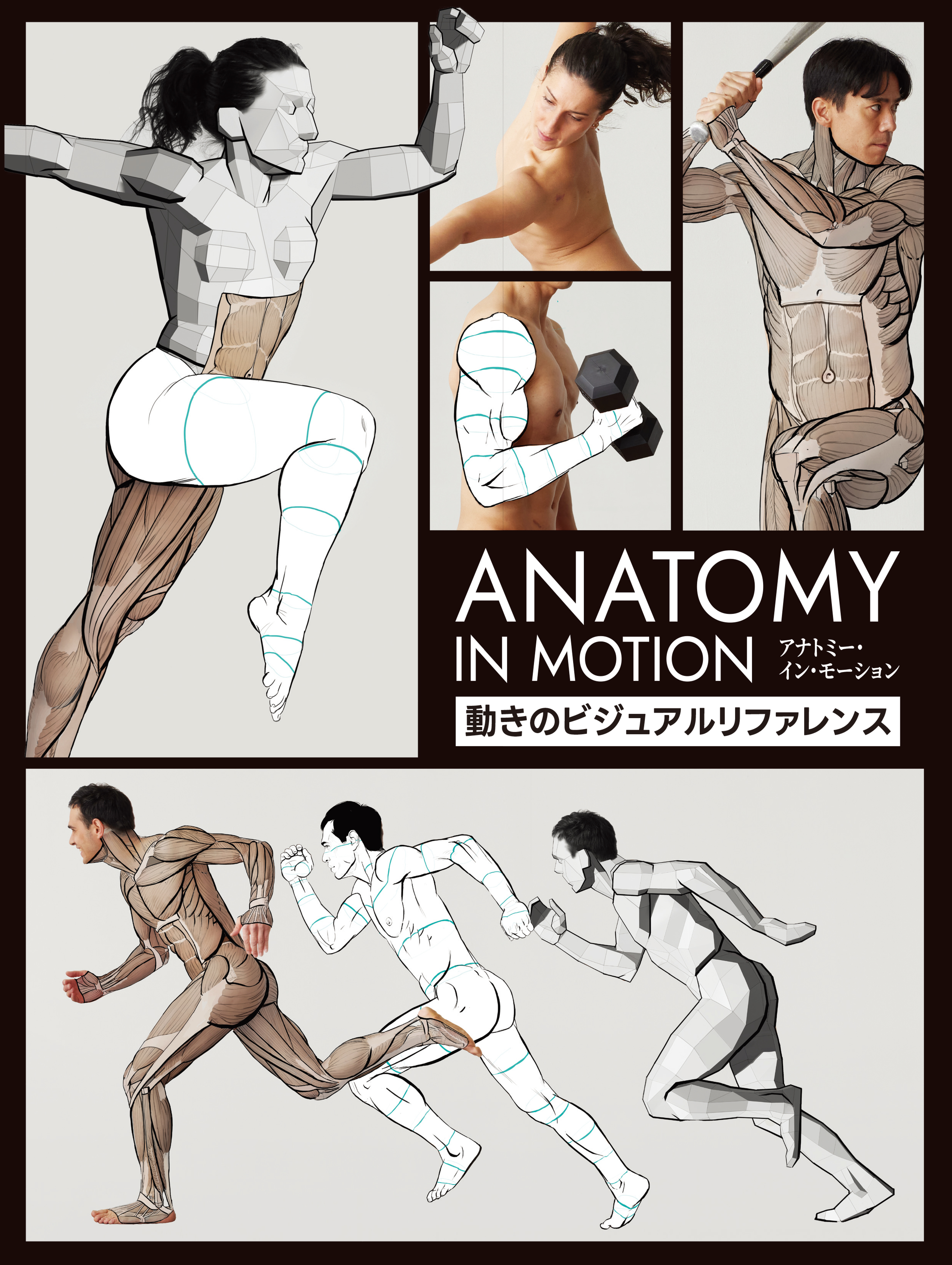 アナトミー・イン・モーション：動きのビジュアルリファレンス