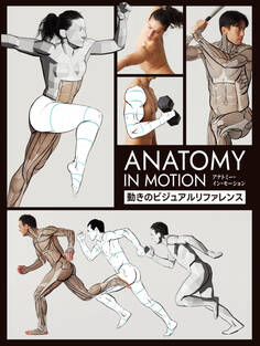 アナトミー・イン・モーション:動きのビジュアルリファレンス
