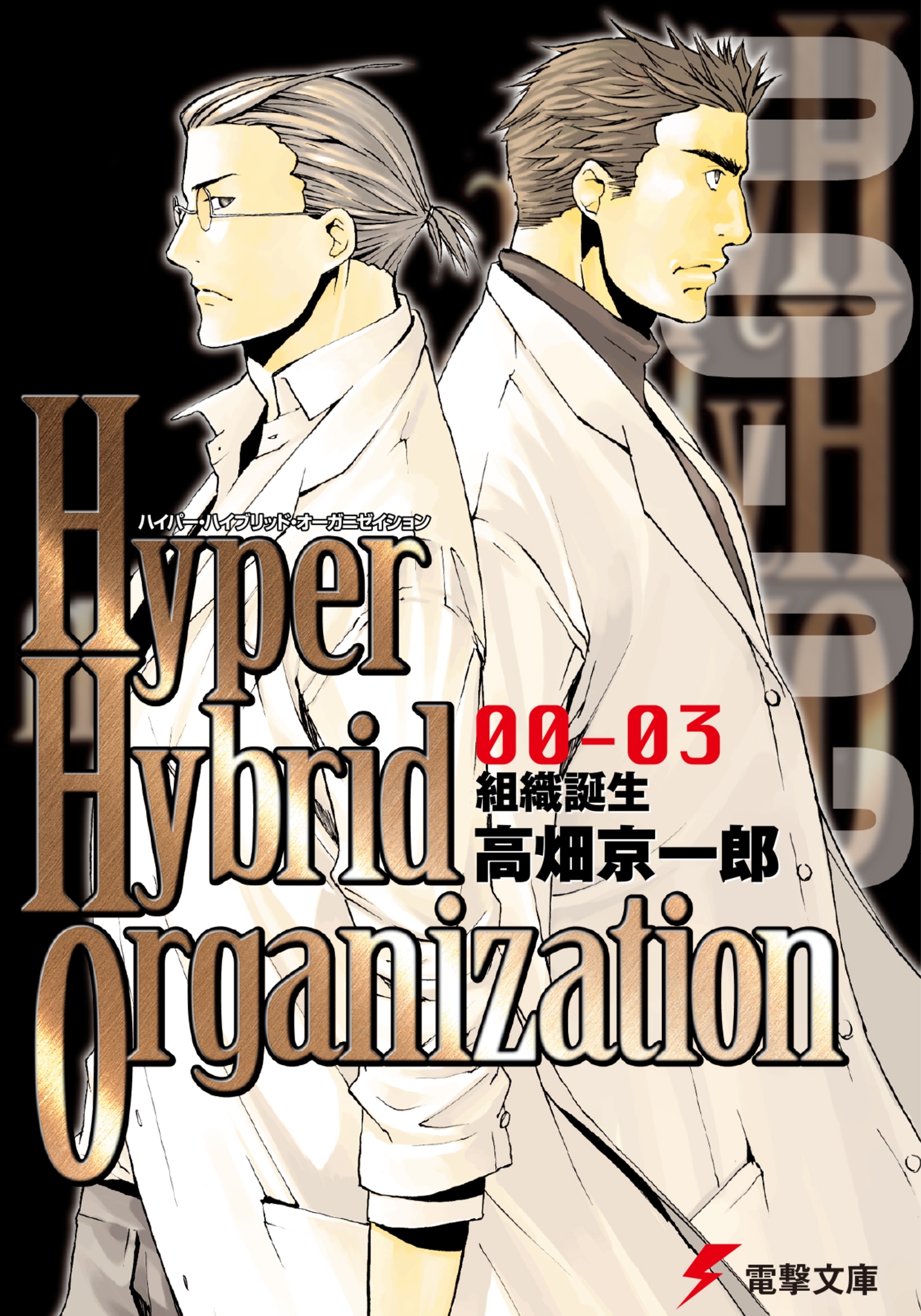 Hyper Hybrid Organization