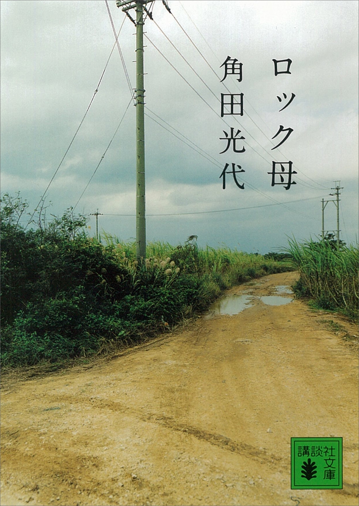 ロック母
