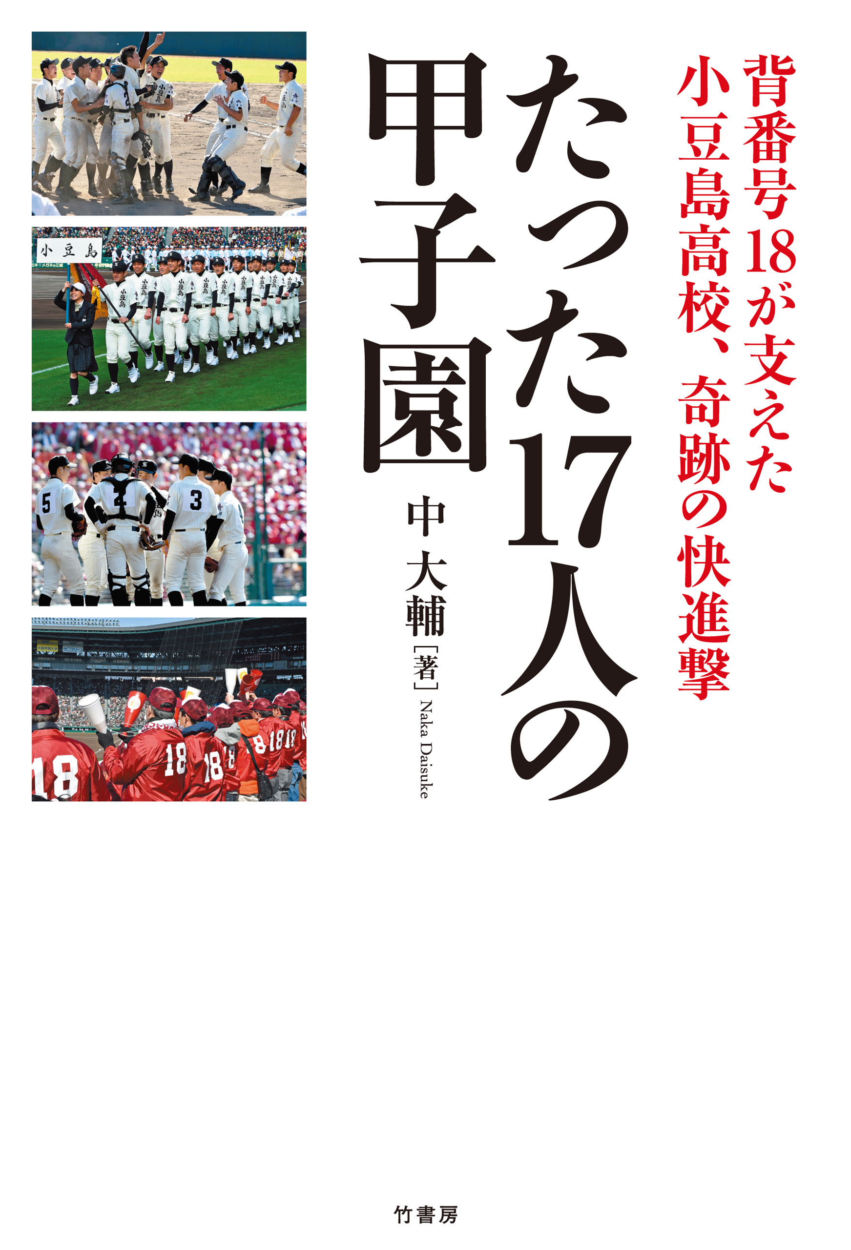 たった１７人の甲子園