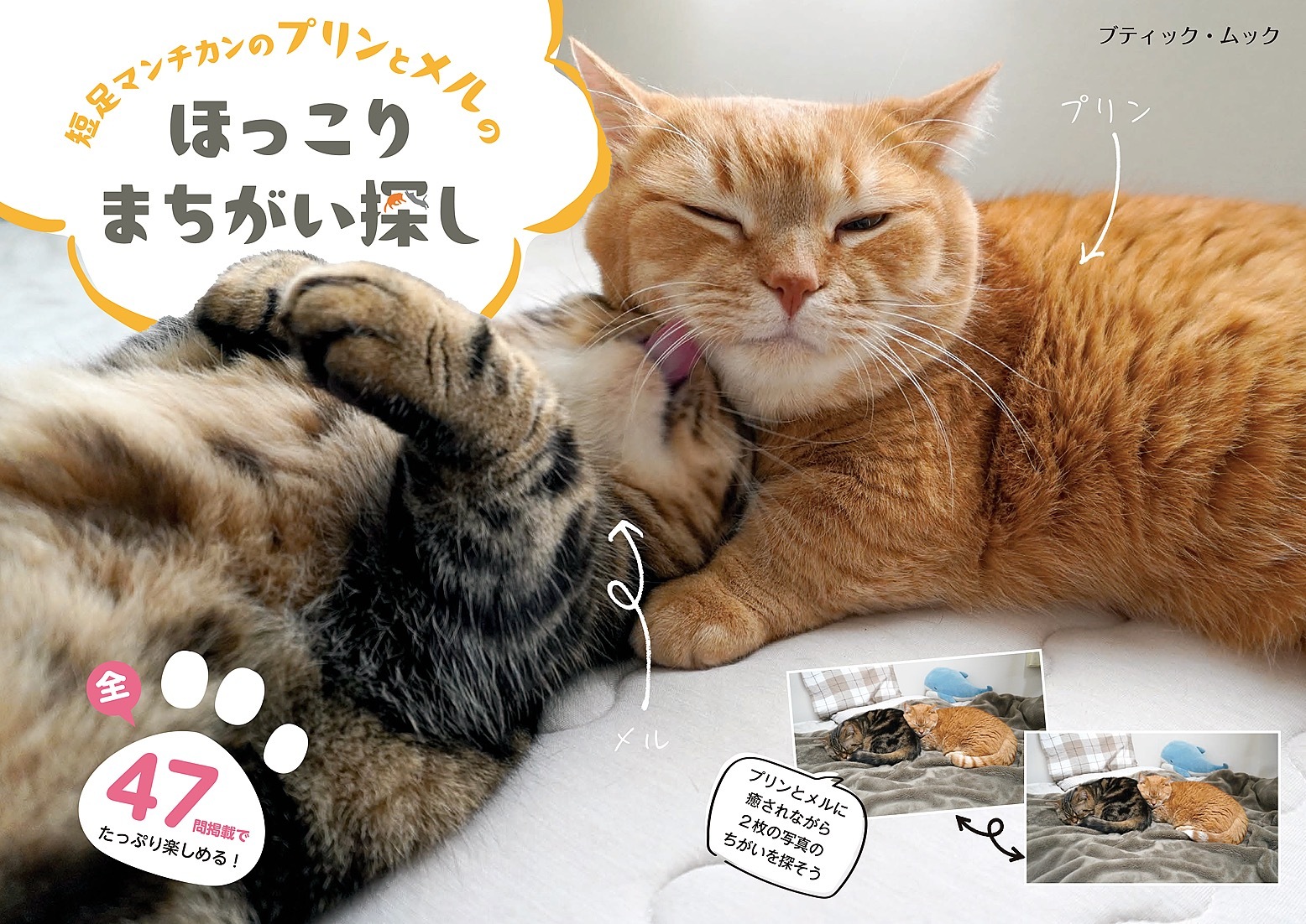 短足マンチカンのプリンとメルのほっこりまちがい探し