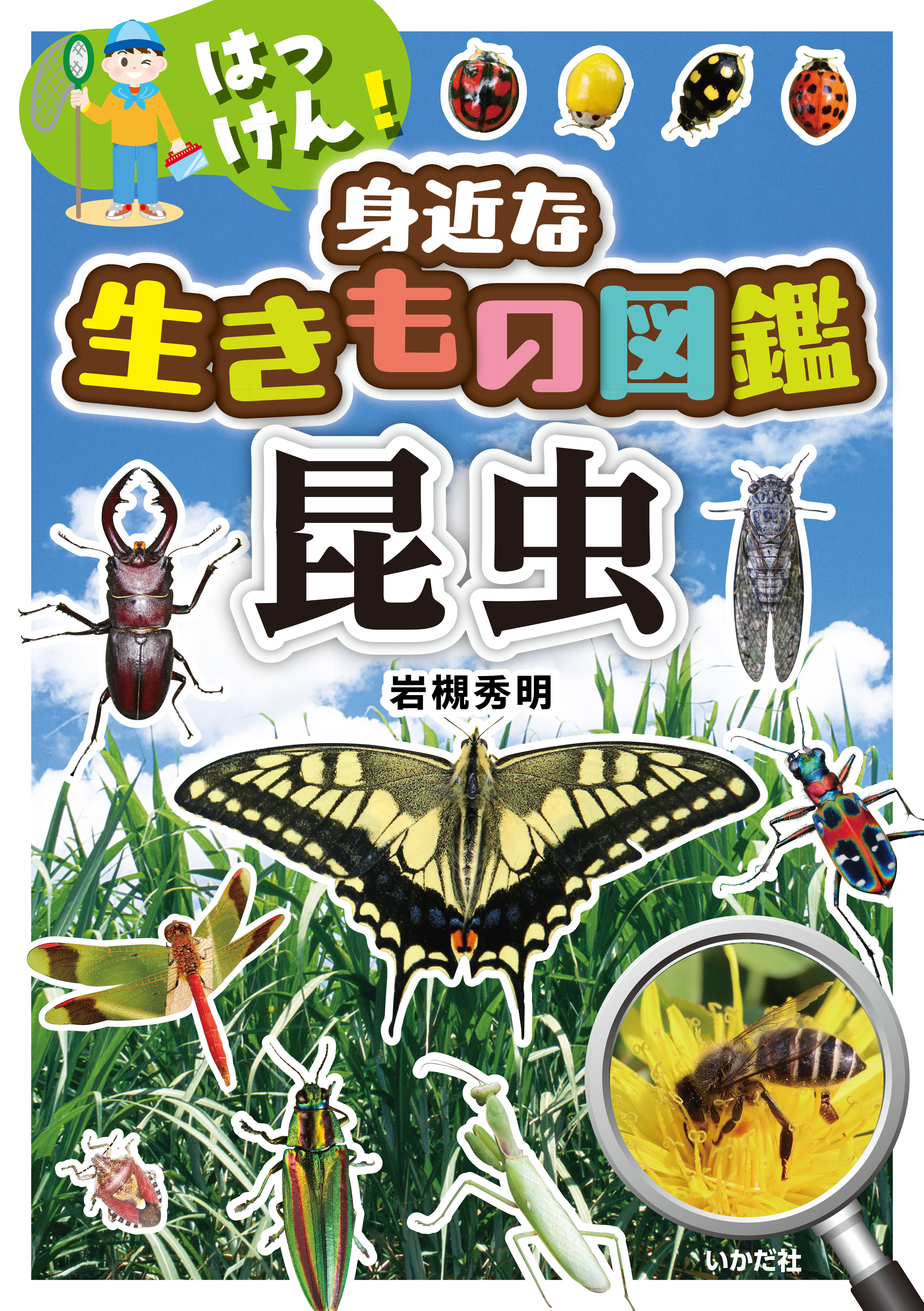 はっけん！身近な生きもの図鑑　昆虫