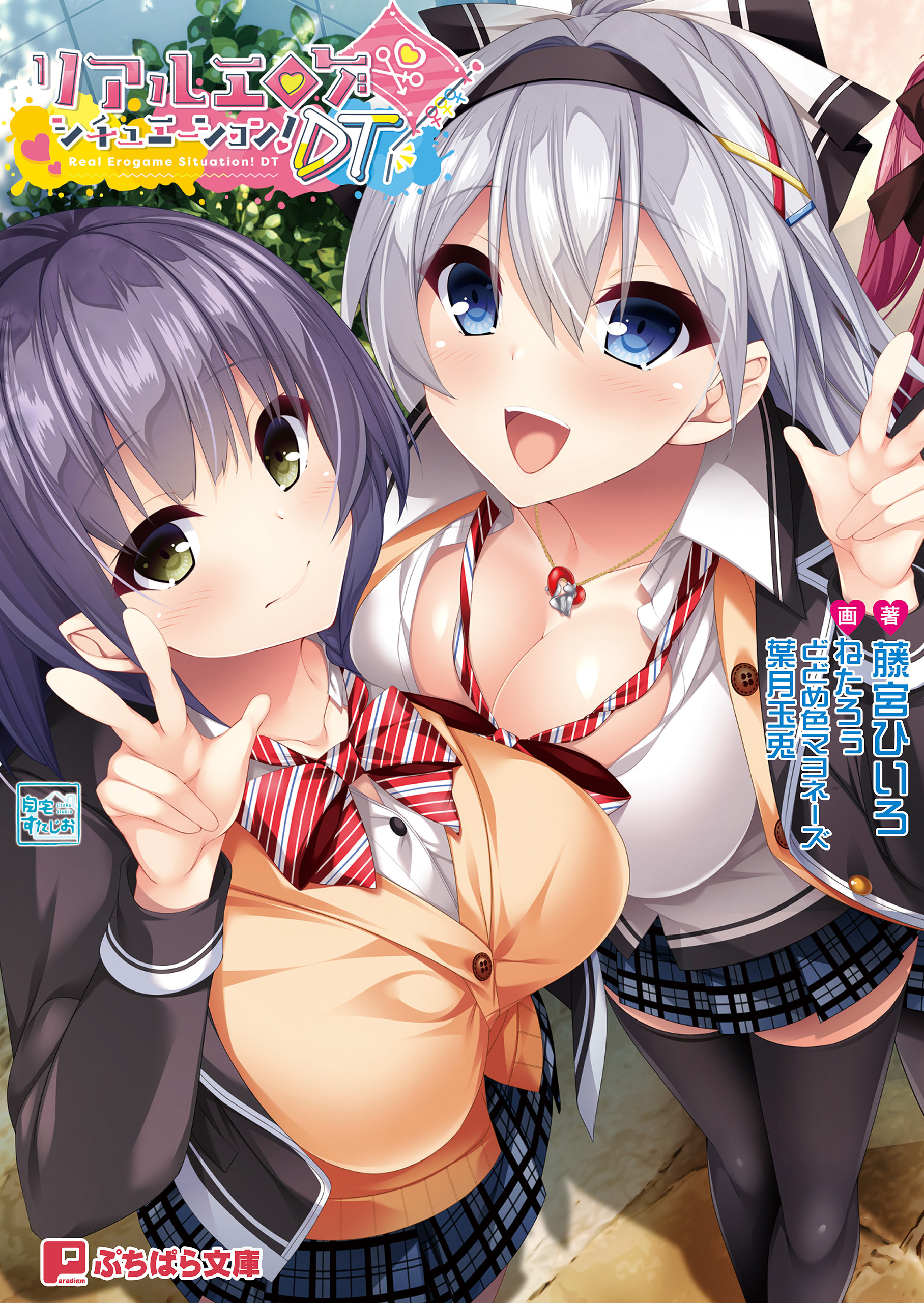 リアルエロゲシチュエーション！DT